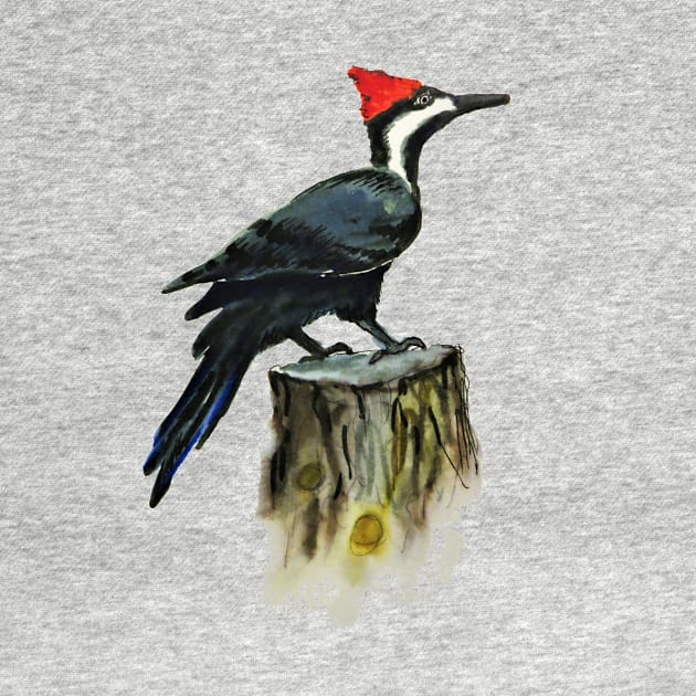 Pileated Woodpecker in Watercolor by julyperson